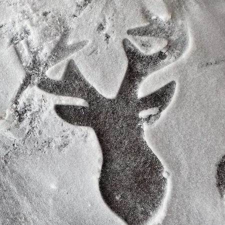 Chalet Domicil Donky *