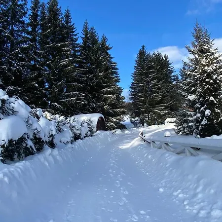 Chalet Domicil Donky