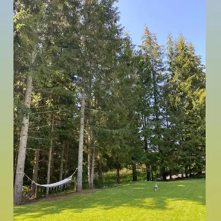 Domicil Donky Chalet Donovaly