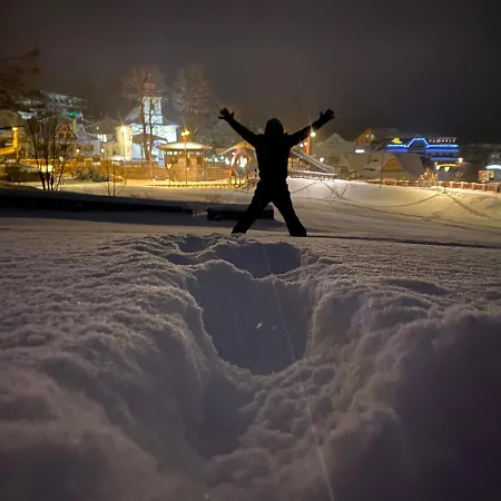 Chalet Domicil Donky *