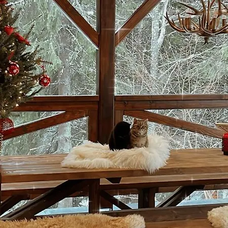 Domicil Donky Chalet