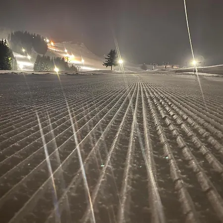 Chalet Domicil Donky *