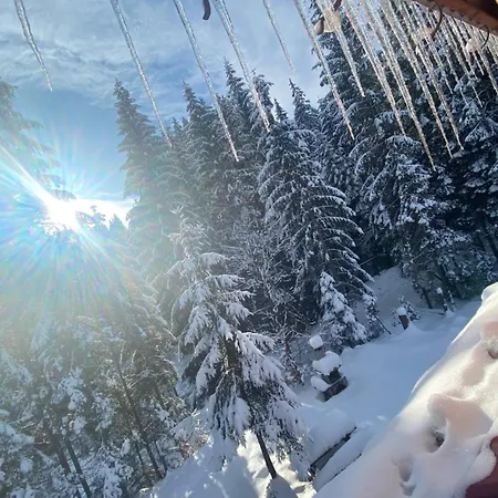 Domicil Donky Chalet