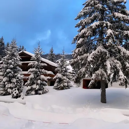 Chalet Domicil Donky