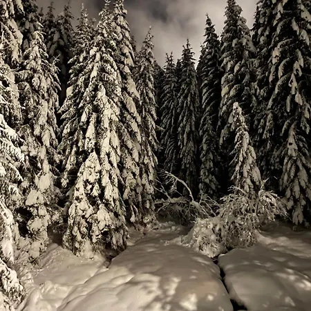 Domicil Donky Donovaly