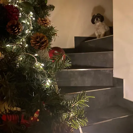 Domicil Donky Donovaly